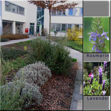 n_n_b_08  Gang Mitte.jpg